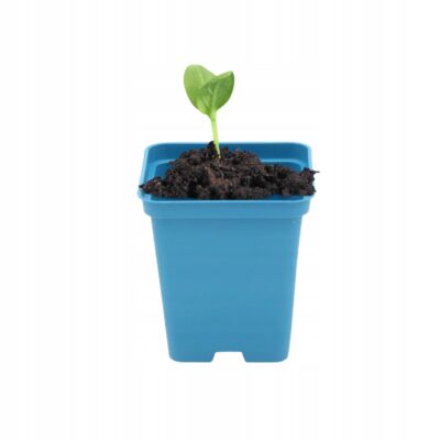 Doniczka kwadratowa P9 niebieska 0.5L