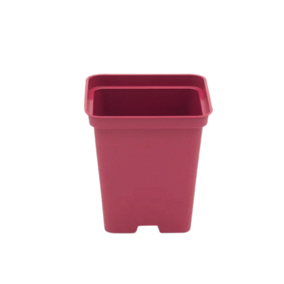 Doniczka kwadratowa P9 MALINOWA 0.5L