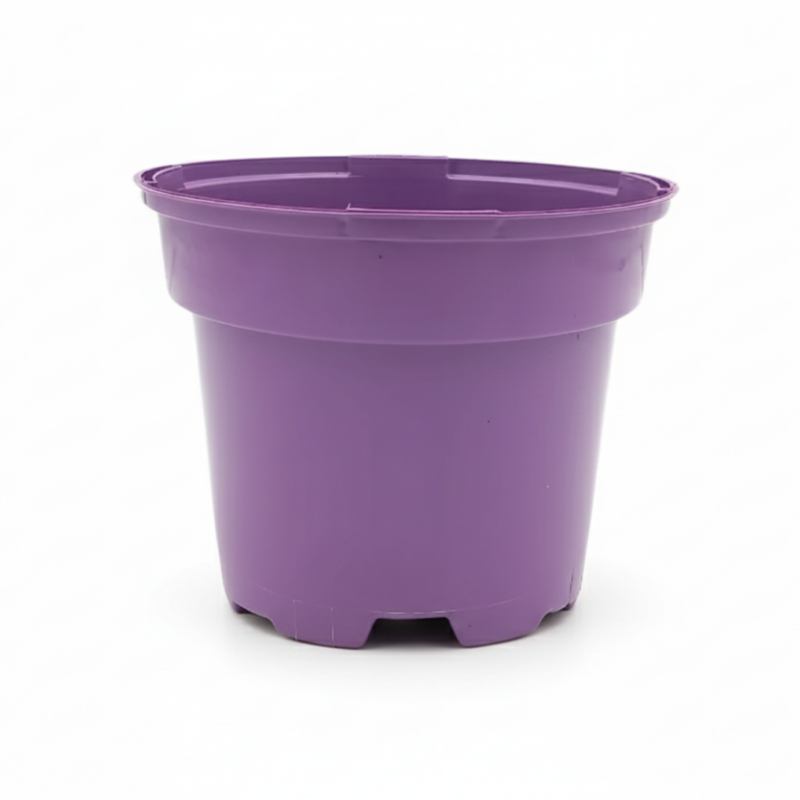doniczka fioletowa 1l