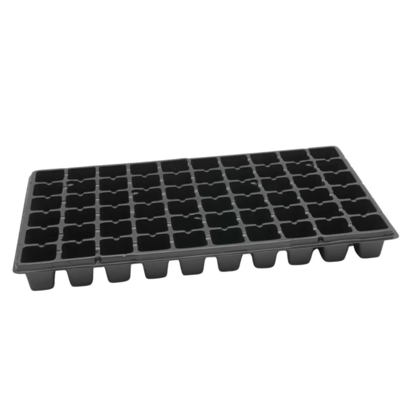 wielodoniczka 60 komórek kwadratowych